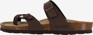 Mule 'Alba' ROHDE en marron : devant