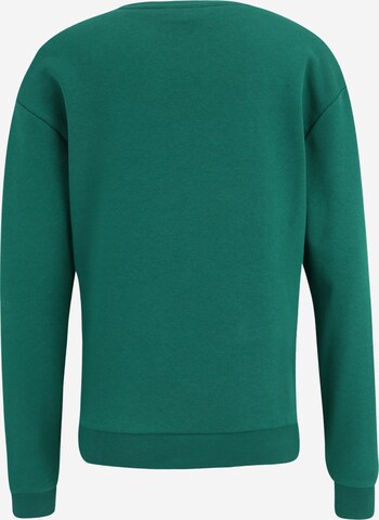 FILA Sweatshirt 'BANTIN' i grøn