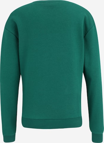 FILA Sweatshirt 'BANTIN' in Groen