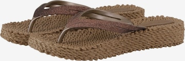 ILSE JACOBSEN Teenslipper 'Cheerful 13' in Bruin: voorkant