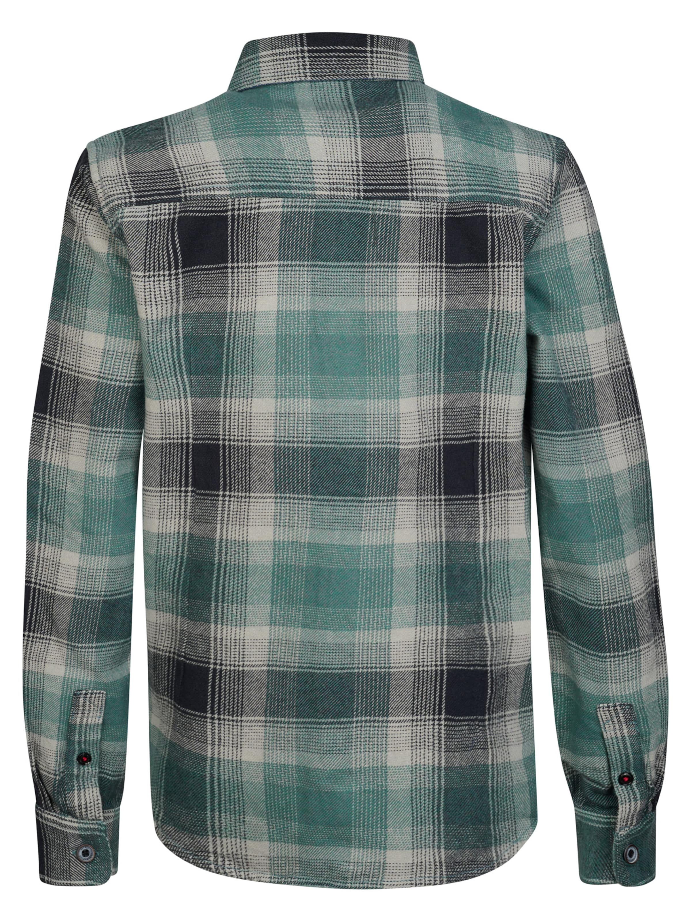 Petrol Industries Regular fit Button up shirt in Green