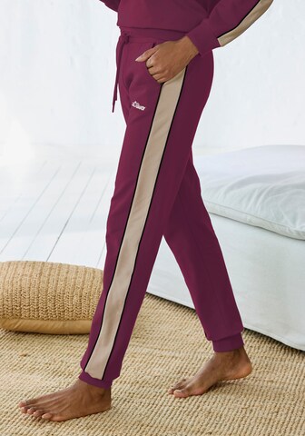 s.Oliver Tapered Hose in Rot