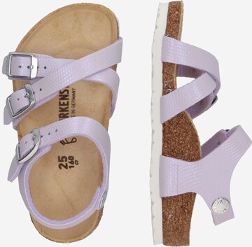 BIRKENSTOCK Босоножки 'Kumba' в Лиловый