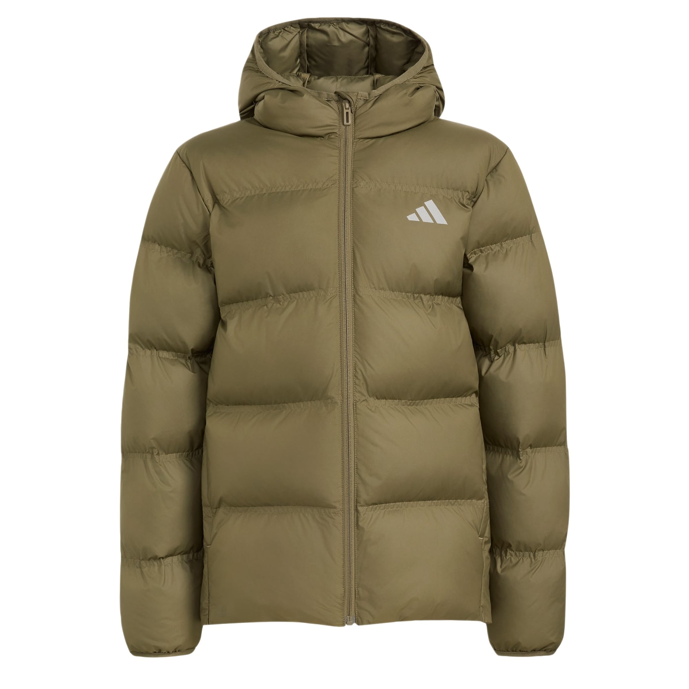 ADIDAS SPORTSWEAR Sportjacka i grön: framsida