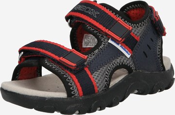 GEOX Sandals & Slippers in Blue: front