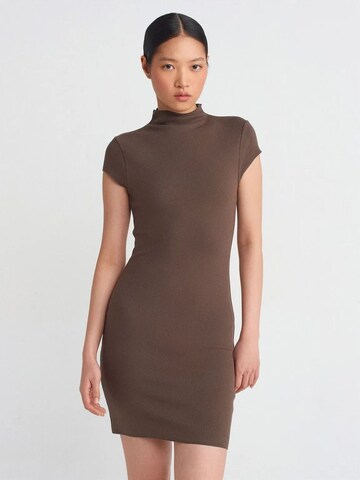 Robe 'Mini' Dilvin en marron : devant
