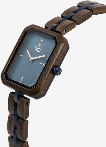 GreenTime Analog Watch in Brown