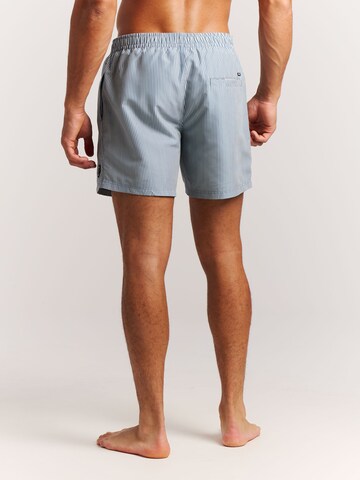 PROTEST Badeshorts 'PRTMarama' in Blau