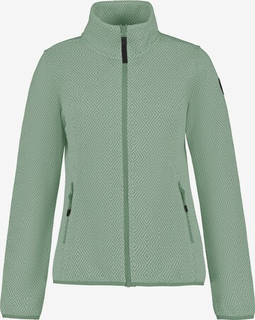 ICEPEAK Athletic fleece jacket 'AIKES' in Green: front