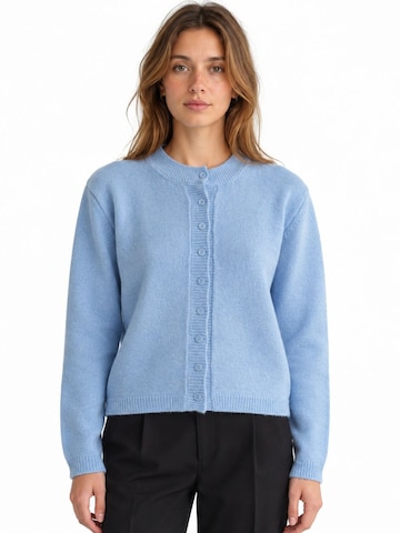Viorna Knit Cardigan 'Strickjacken' in Blue: front