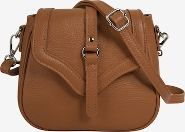 Cluty Crossbody Bag in Brown: front