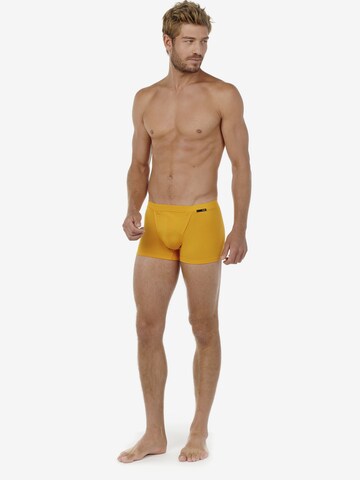 Boxers HOM en jaune