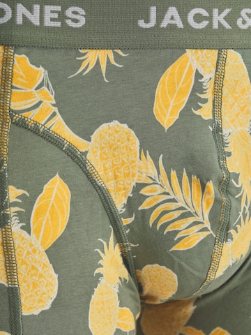 JACK & JONES Boxershorts 'Bahamas' in Groen