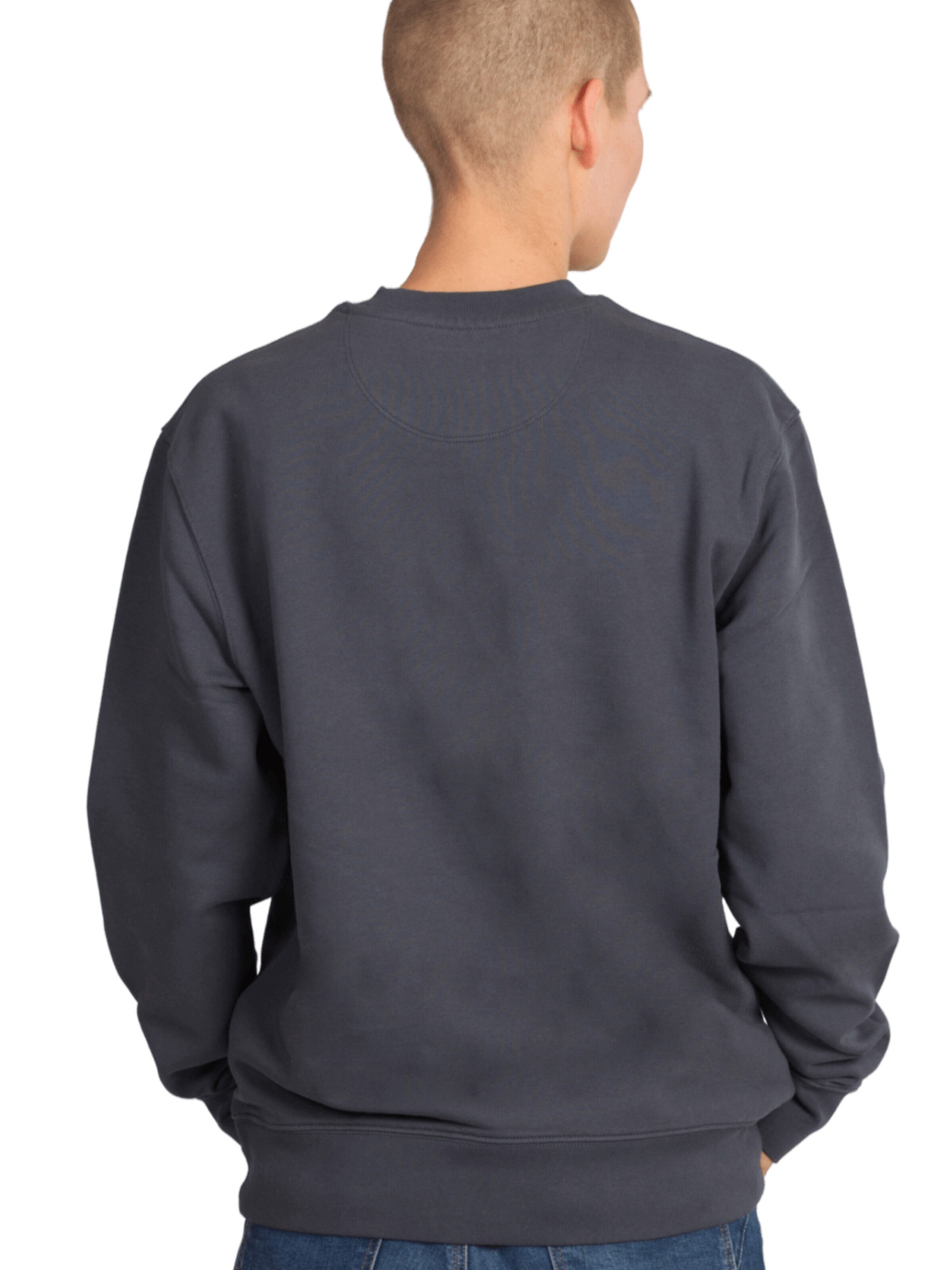Life-Tree Sweatshirt 'Sweater Organic Olive Tree' in Grey