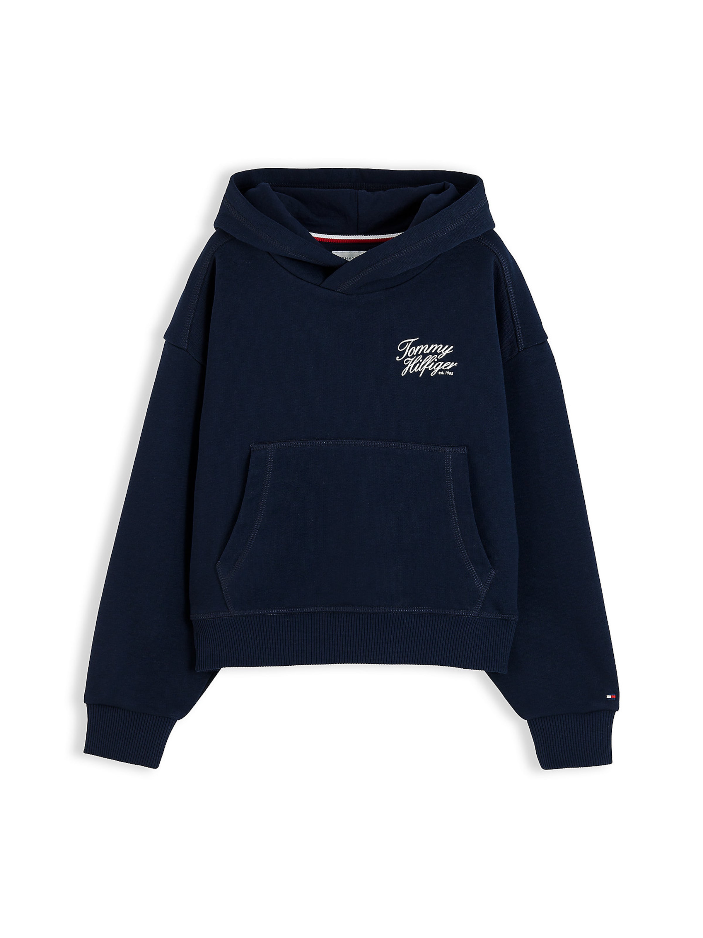 TOMMY HILFIGER Sweatshirt in Blauw: voorkant