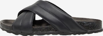 Bianco Mules 'FELICITY' in Black: front