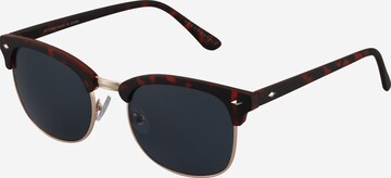 AÉROPOSTALE Sunglasses in Brown: front
