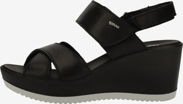 IGI&CO Sandalen met riem in Zwart