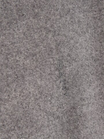 GANT Schal in Grau