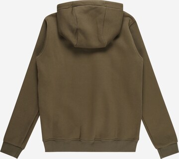 Colmar Sweatshirt 'FELPA' in Green