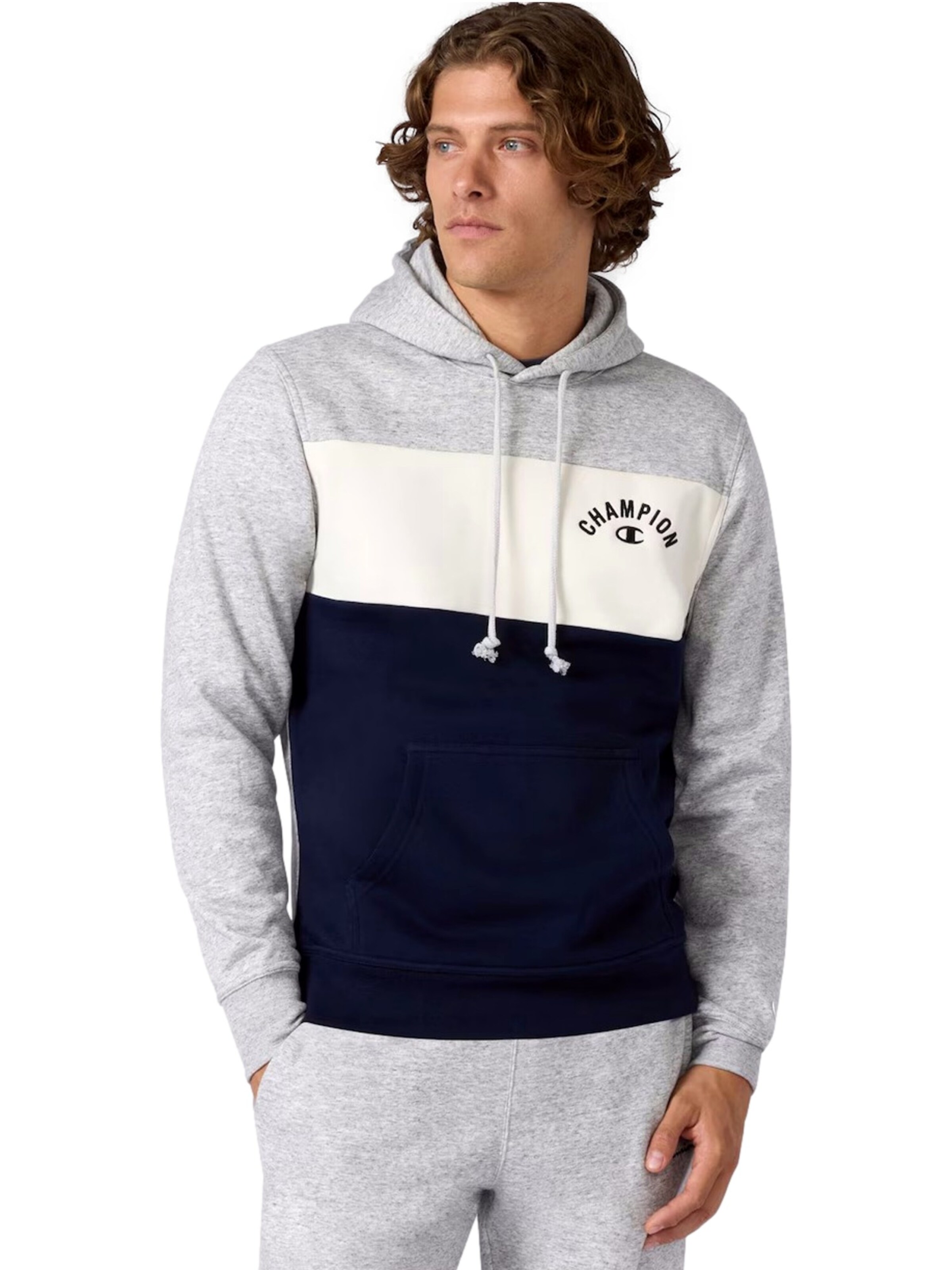 Champion Authentic Athletic Apparel Pullover i grå: forside