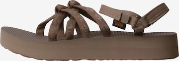 TEVA Sandale in Braun: Vorderseite