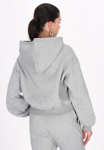 faina Athlsr - Sweatshirt em cinzento