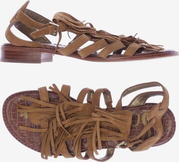 Sam Edelman Sandals & High-Heeled Sandals in 39,5 in Brown: front