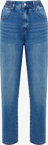 Calli Regular Jeans 'HUDSON' in Blau: predná strana