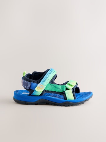 Next Open schoenen in Blauw