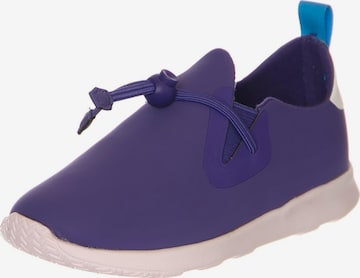 NATIVE Sneakers in Lila: voorkant