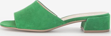 GABOR Mules in Green: front