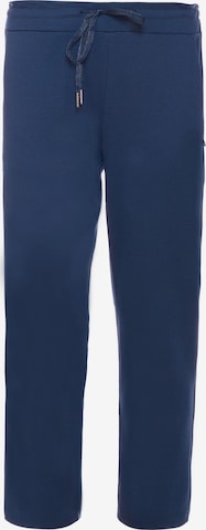 Le Temps Des Cerises Hose 'Rosi' in Blau: Vorderseite