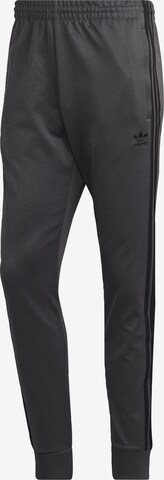 Pantalon 'Adicolor Classics Primeblue' ADIDAS ORIGINALS en gris : devant