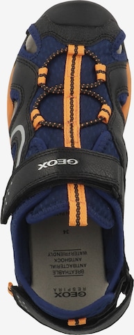 GEOX Open schoenen 'Borealis' in Blauw