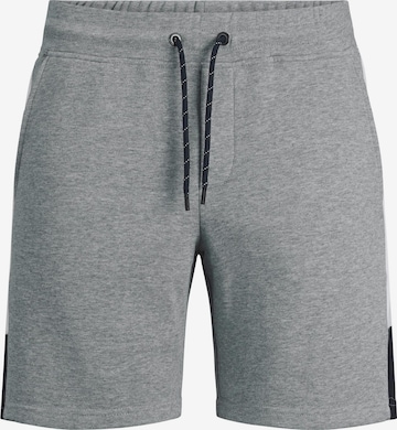 JACK & JONES Regular Pants in Grey: front