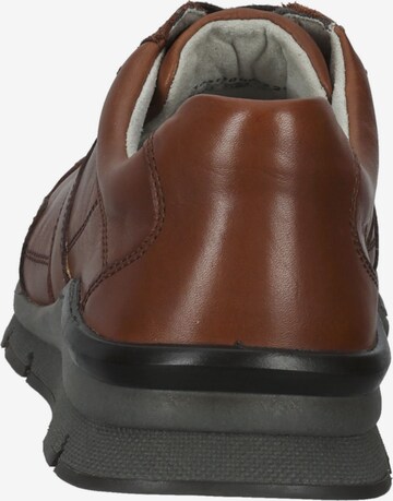 Pius Gabor Sneaker low in Braun