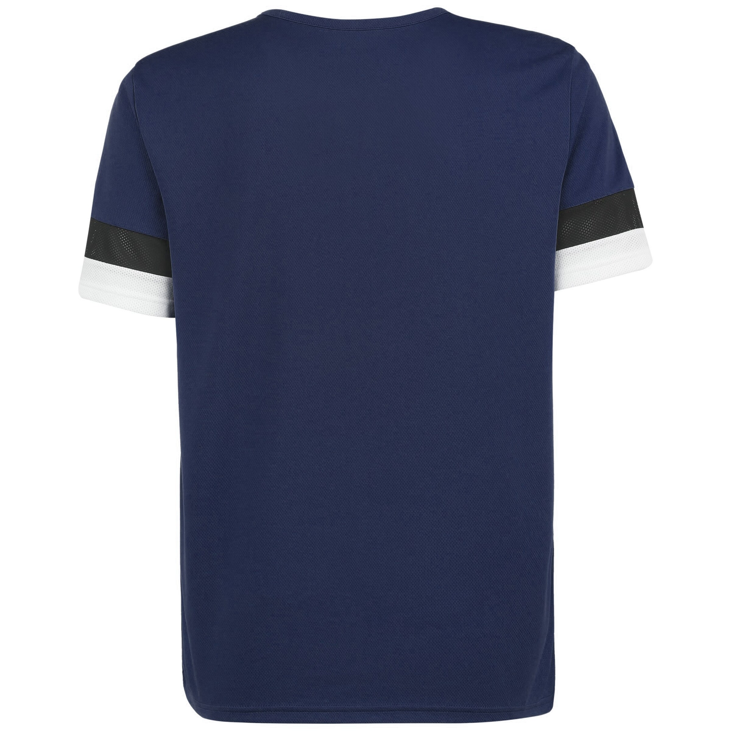 PUMA Jersey 'TeamRISE' in Blue