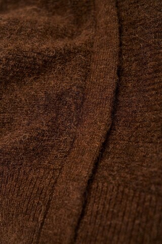 Salsa Jeans Pullover in Braun