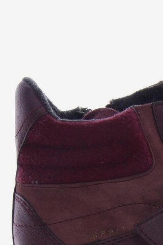 ESPRIT Sneaker 38 in Rot