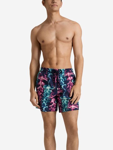 Vilebrequin Badeshorts‌‌‌‌‌‌‌‌‌ in Blau: Vorderseite