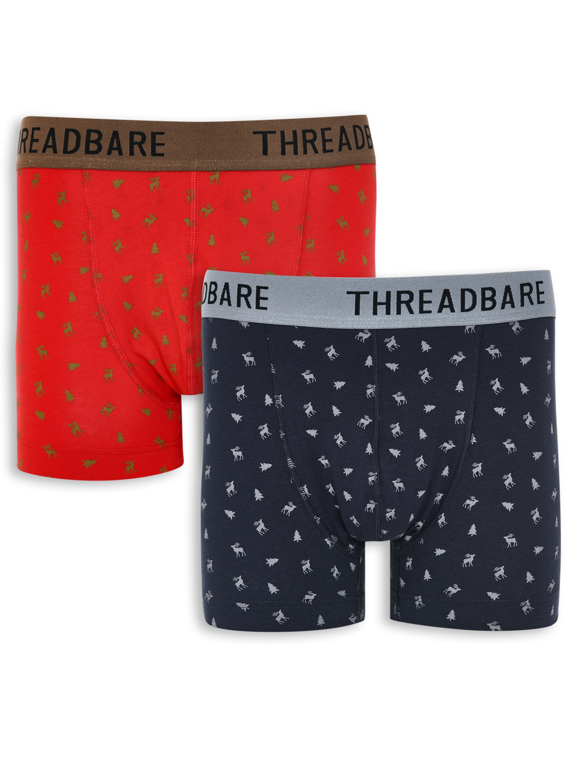 Threadbare Boxershorts in Blau: Vorderseite