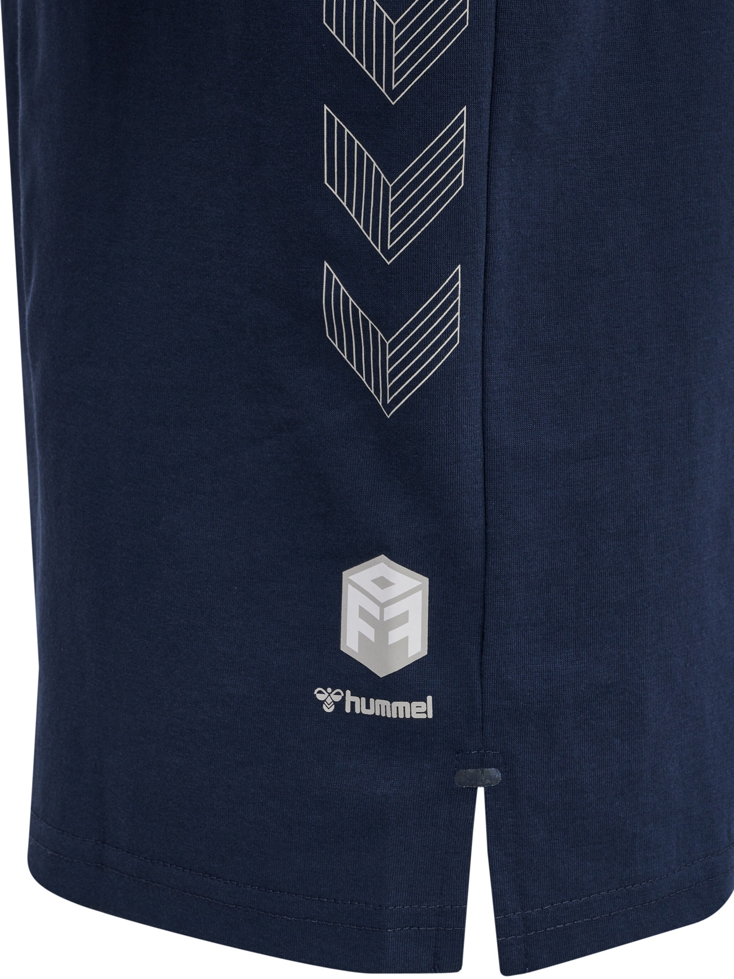 Hummel Functioneel shirt 'Move' in Blauw