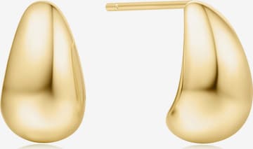 ANIA HAIE Earrings in Gold: front
