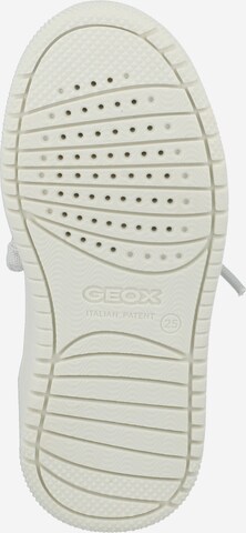 GEOX Sneakers 'Washiba' i hvid