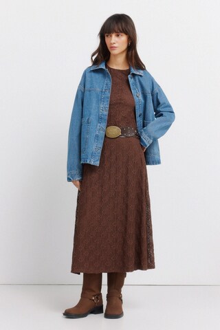 Springfield Jurk in Bruin