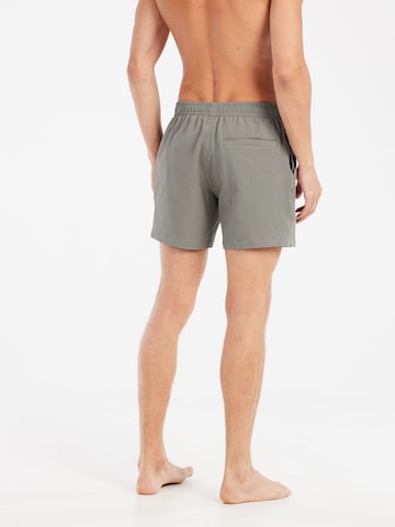 PROTEST Badeshorts 'PRTWytona' in Grau: Vorderseite