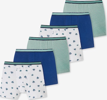 SCHIESSER Underpants ' 95/5 Organic Cotton ' in Blue: front