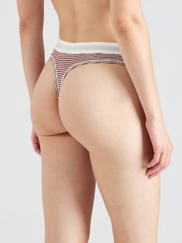 Tommy Hilfiger Underwear Thong in Brown