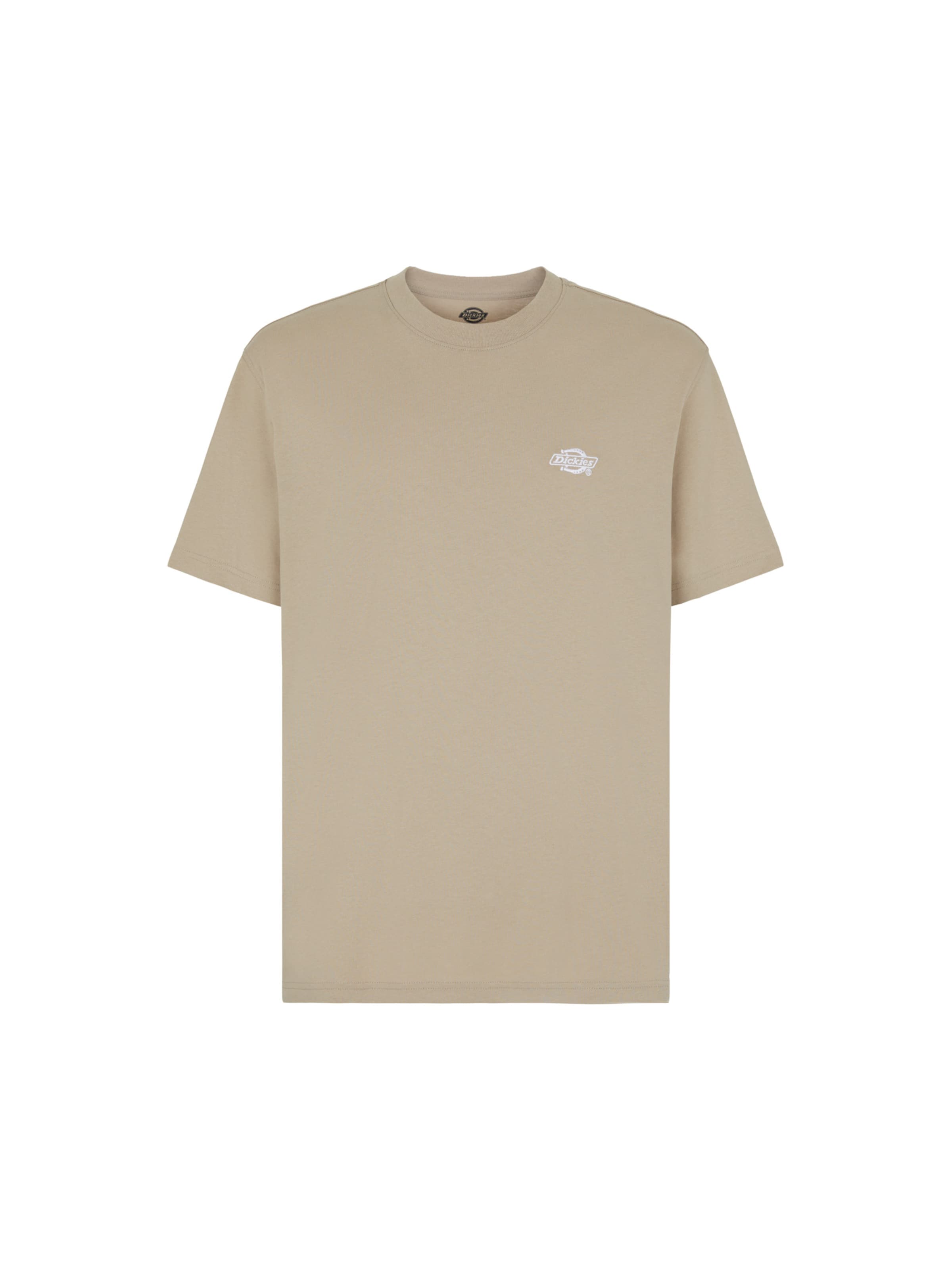 DICKIES Футболка 'SUMMERDALE' в Бежевый: спереди